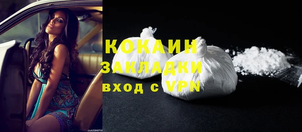 гашик Коряжма