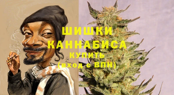 гашик Коряжма
