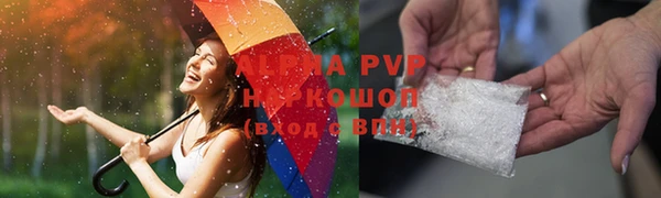 гашик Коряжма