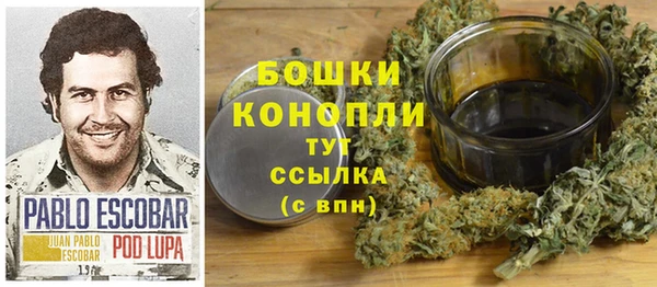 гашик Коряжма