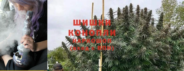 гашик Коряжма