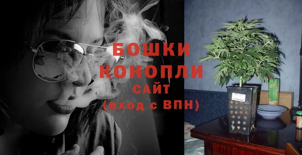 гашик Коряжма
