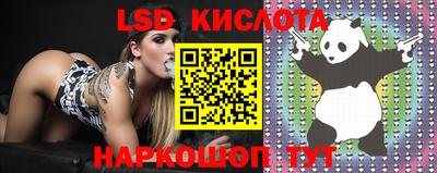 дмт Кинель