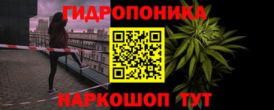 дмт Кинель