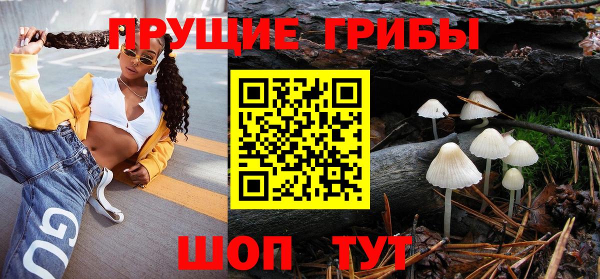 Полевской  Псилоцибиновые грибы Psilocybine cubensis  Вход с VPN 